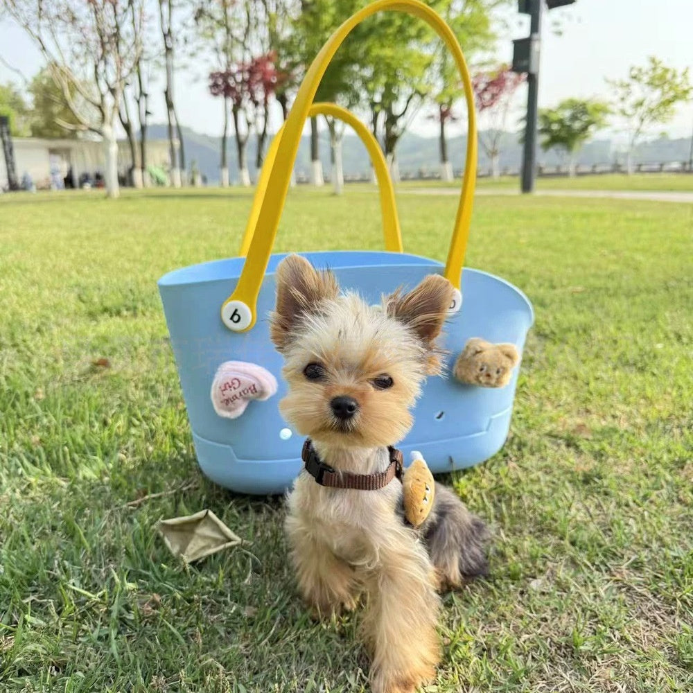 2026 Large EVA Cave Durable Waterproof Breathable Insulated Portable Puppy Outdoor Travel Walking Shopping Dog Cat Pet Bag